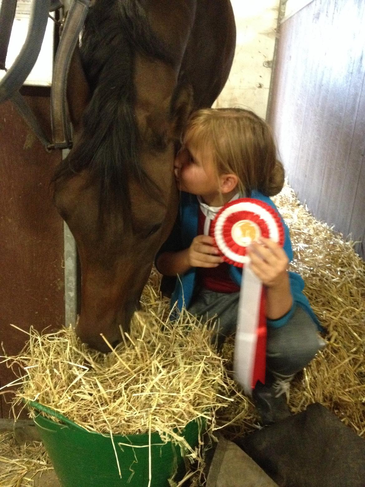 DSP Klintens duke - efter hans allerførste stævne nogensinde vinder af LD1 billede 5