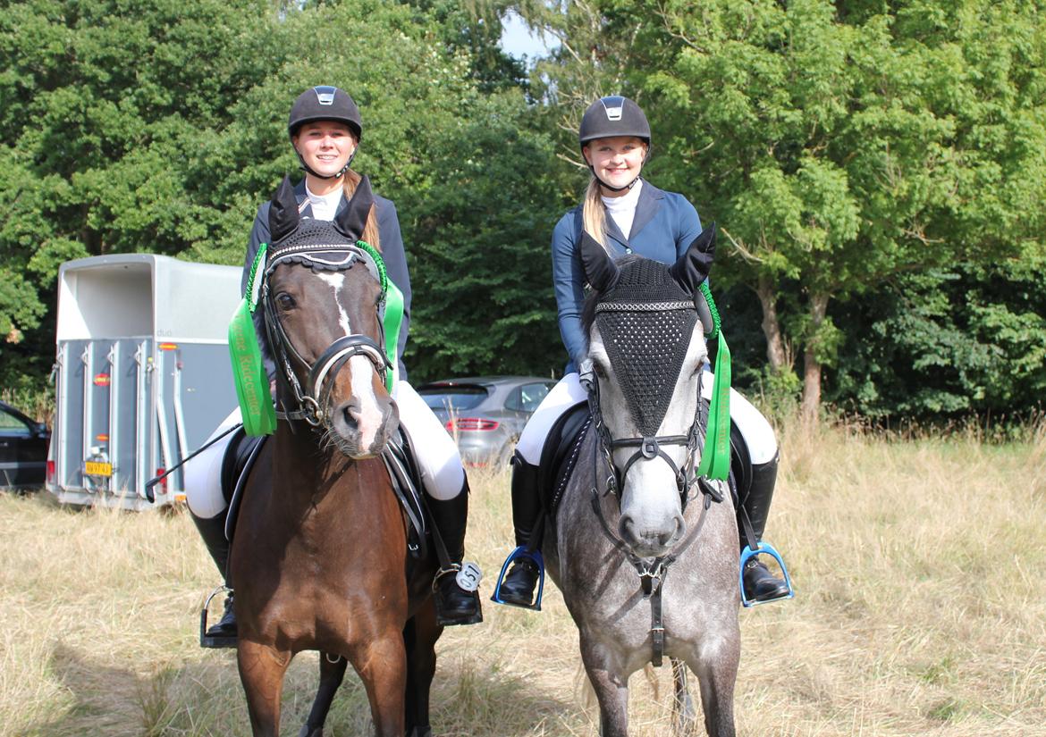 DSP Sebastian B-pony  billede 14