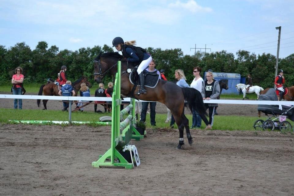 Anden særlig race Luna Star billede 15