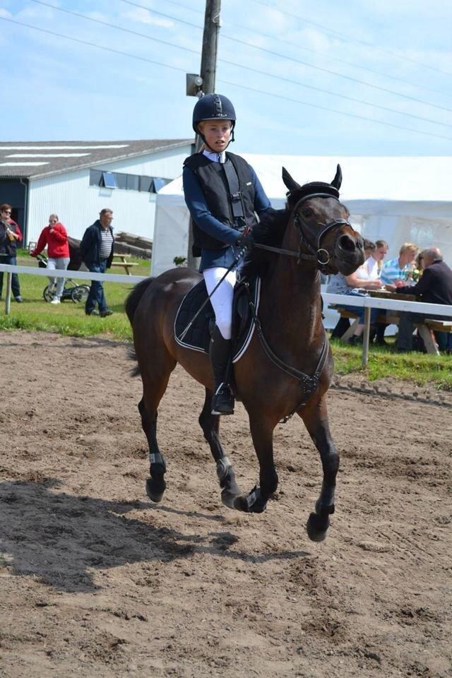 Anden særlig race Luna Star billede 16