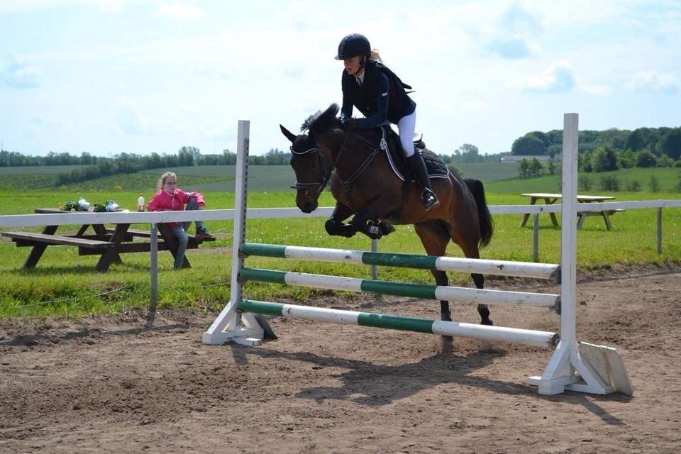 Anden særlig race Luna Star billede 17