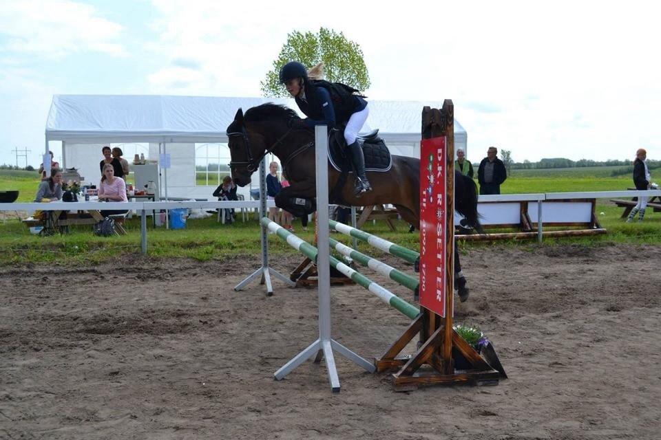 Anden særlig race Luna Star billede 18