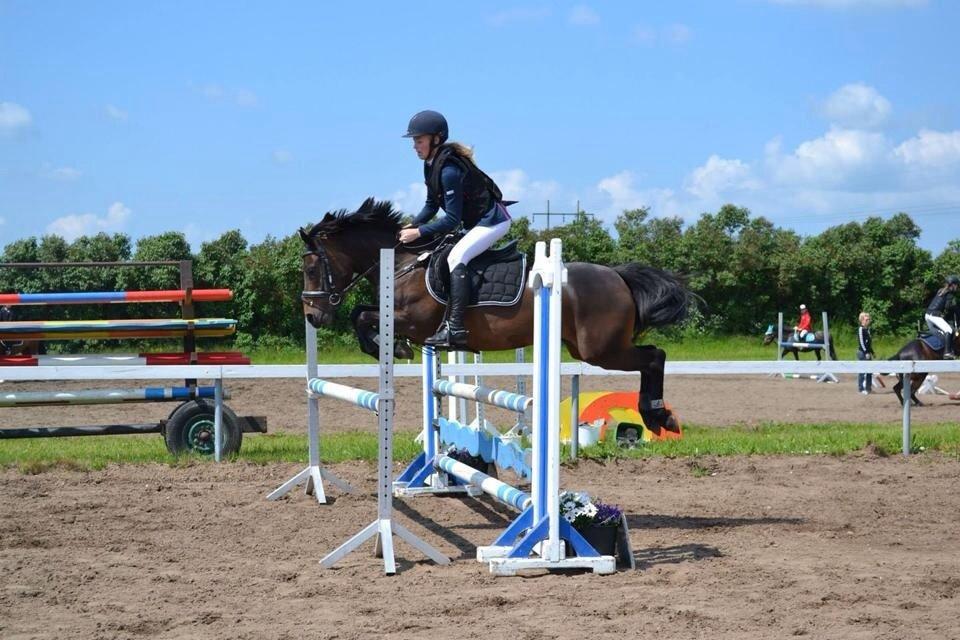 Anden særlig race Luna Star billede 19