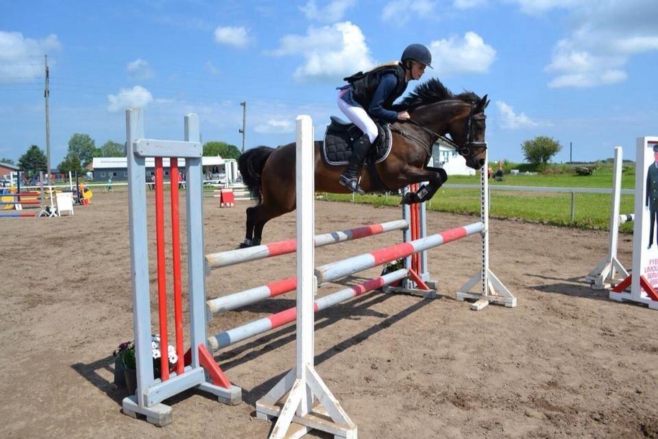 Anden særlig race Luna Star billede 20