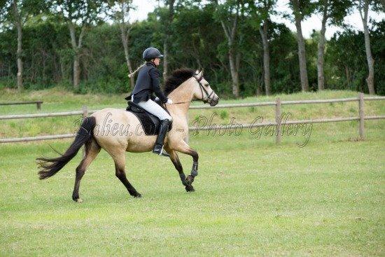 Connemara Lillevangs Emmeline (Emme). [tidl. Hest] - Sløjfestævne i Tuse næs rideklub d. 25 Juni billede 1