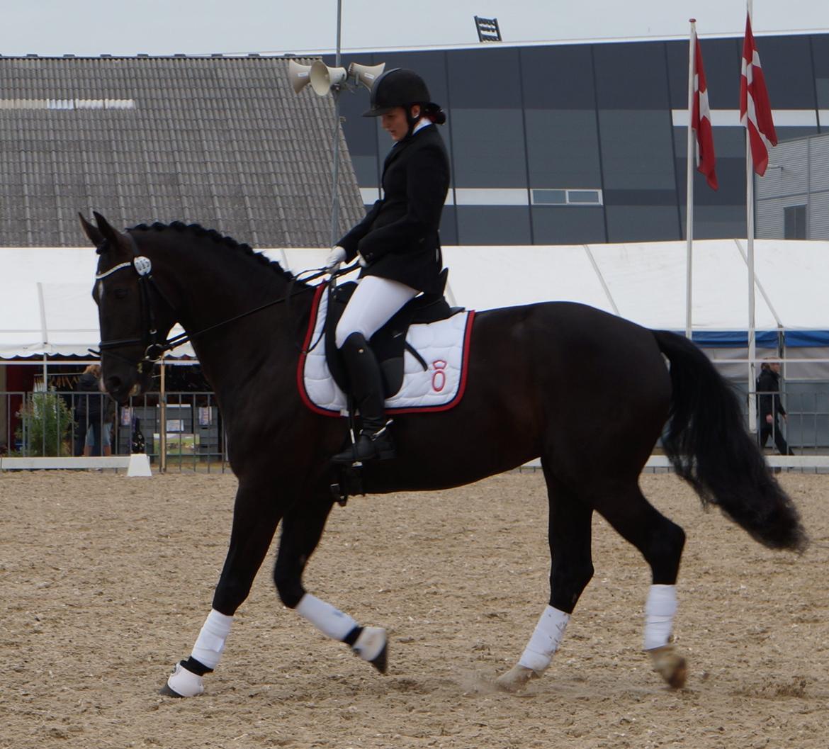 Oldenborg Tulle Engholm billede 21