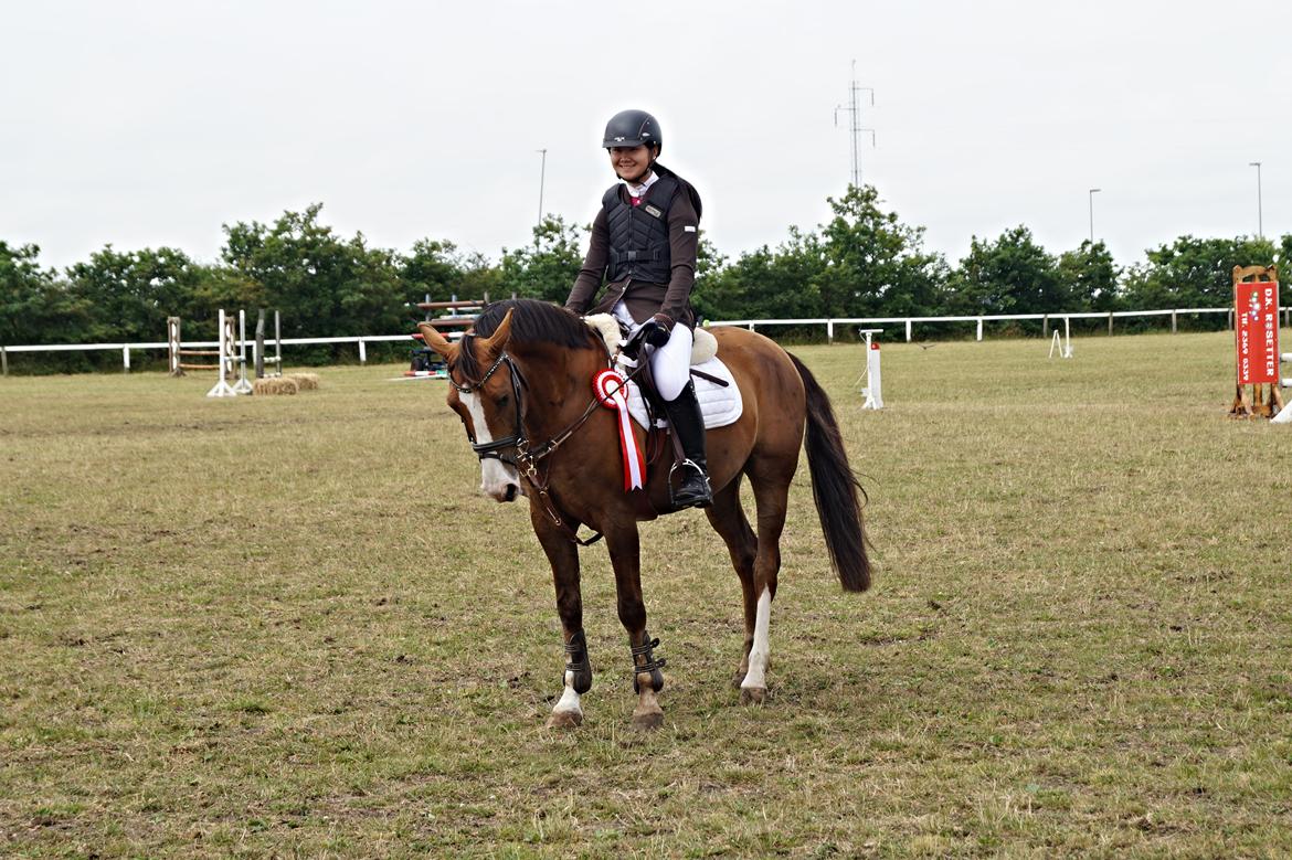 Tysk Sportspony Artos B-pony - Artos og jeg vinder LB* ved VSRK's C-stævne <3 billede 44