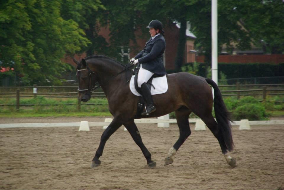 Oldenborg Lorenzo bedsted - Lorenzo til stævne i HVR billede 1