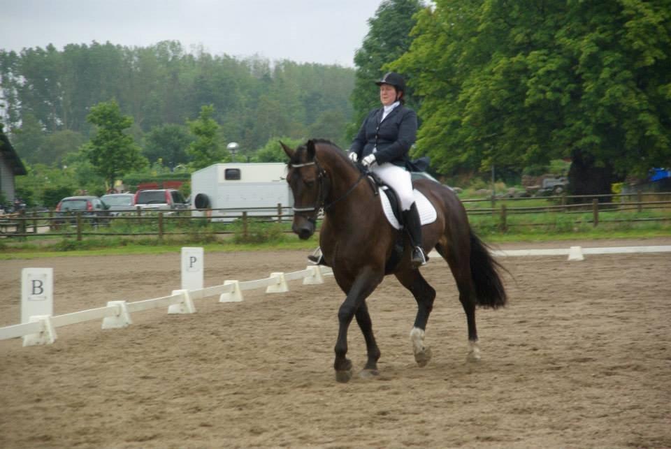 Oldenborg Lorenzo bedsted - Stævne HVR billede 11