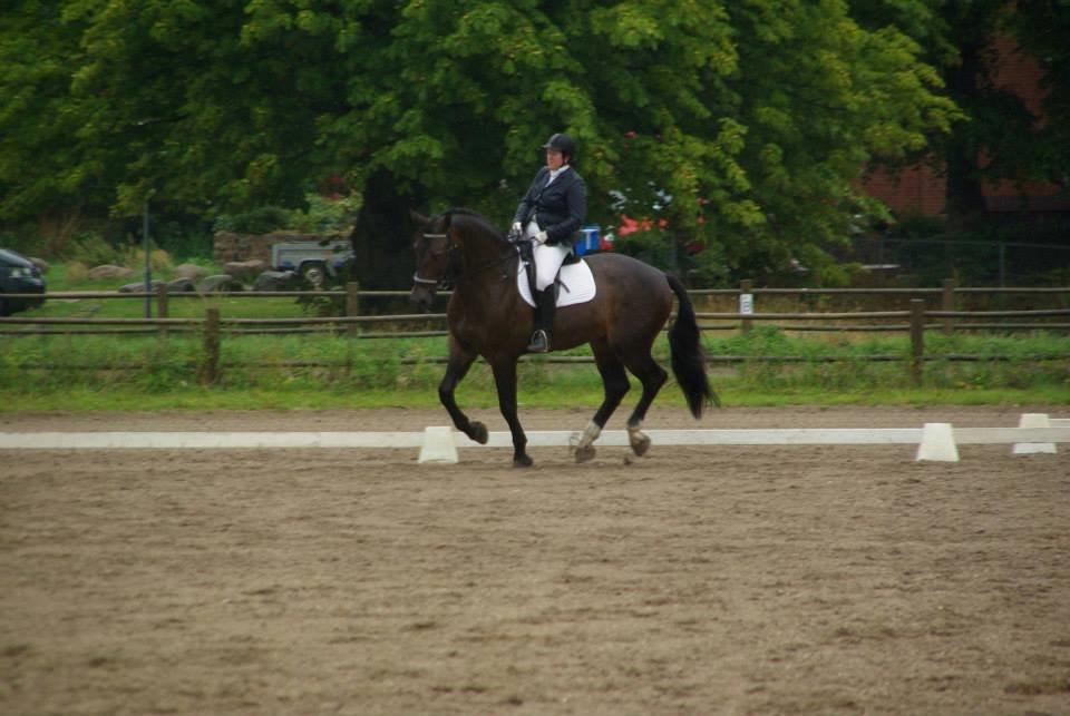 Oldenborg Lorenzo bedsted - Stævne HVR billede 15