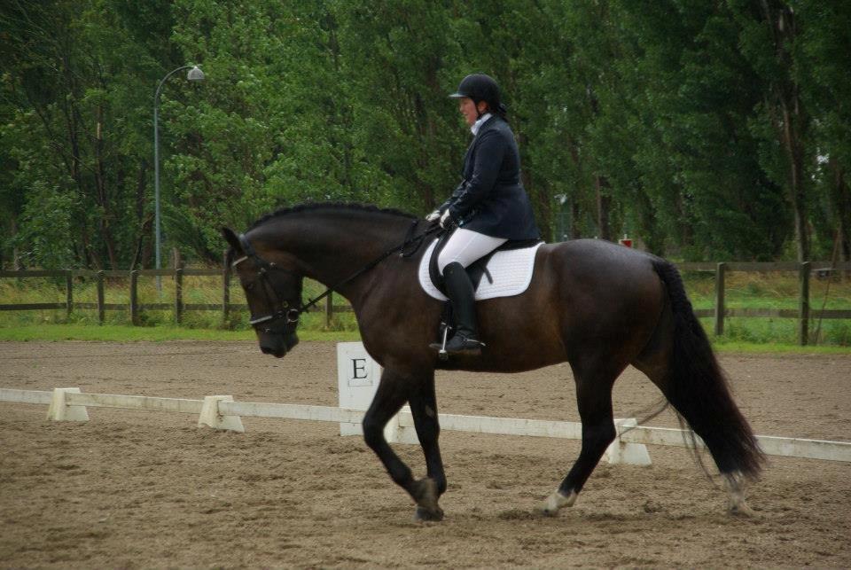 Oldenborg Lorenzo bedsted - Stævne HVR billede 7