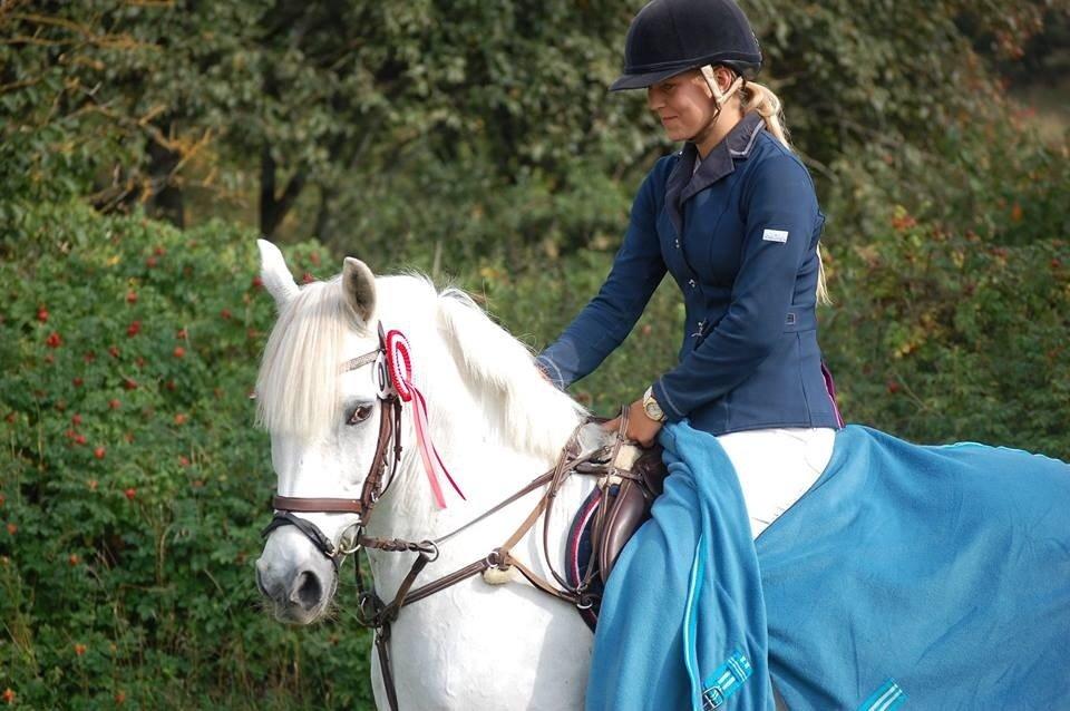 Anden særlig race Prins *Stjernen*  billede 24