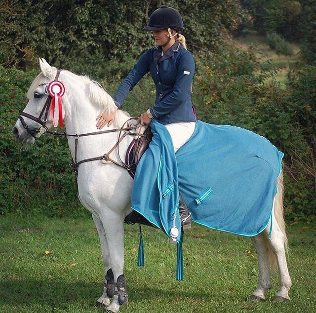 Anden særlig race Prins *Stjernen*  billede 26