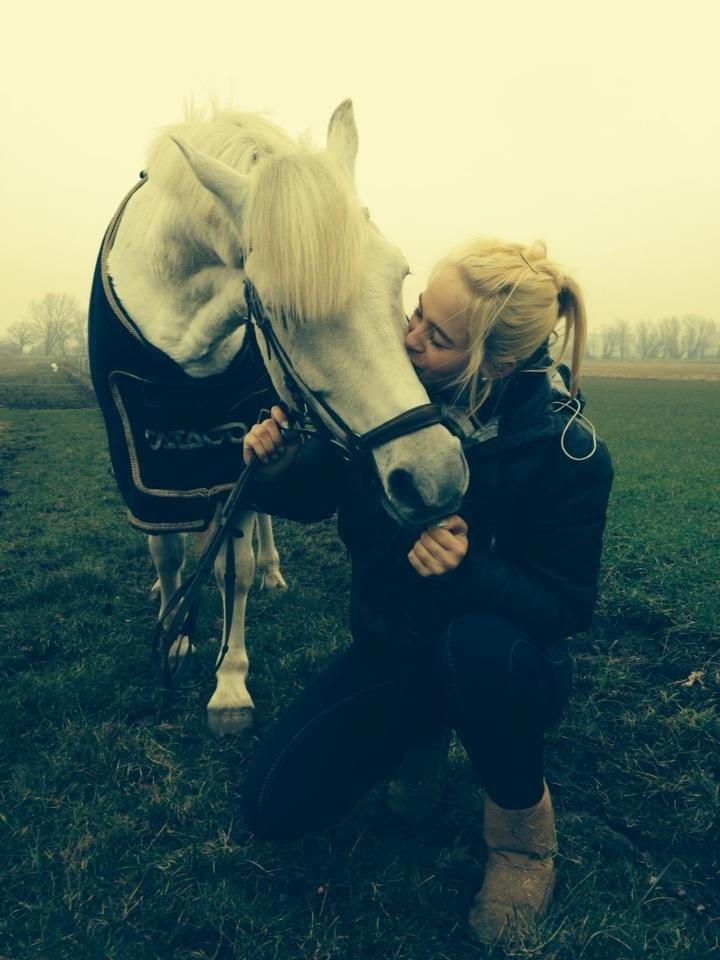 Anden særlig race Prins *Stjernen*  billede 28