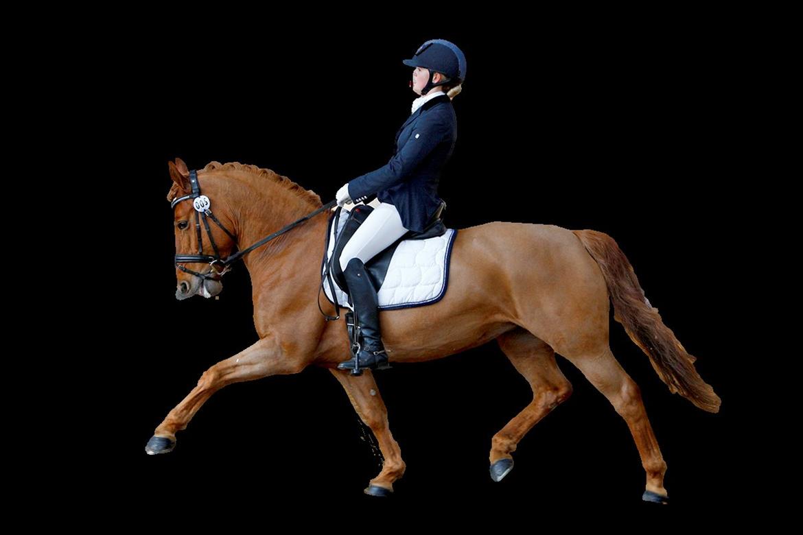 DSP Vladia - A-PONY - Første afd. af Ecco Cup billede 1