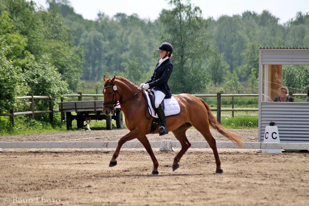 DSP Vladia - A-PONY - Landsstævne Herning billede 11