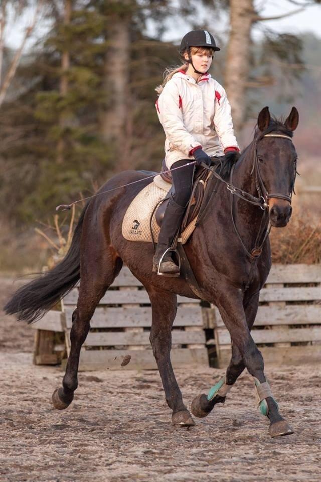 Anden særlig race Balzerlunds Little Secret billede 1