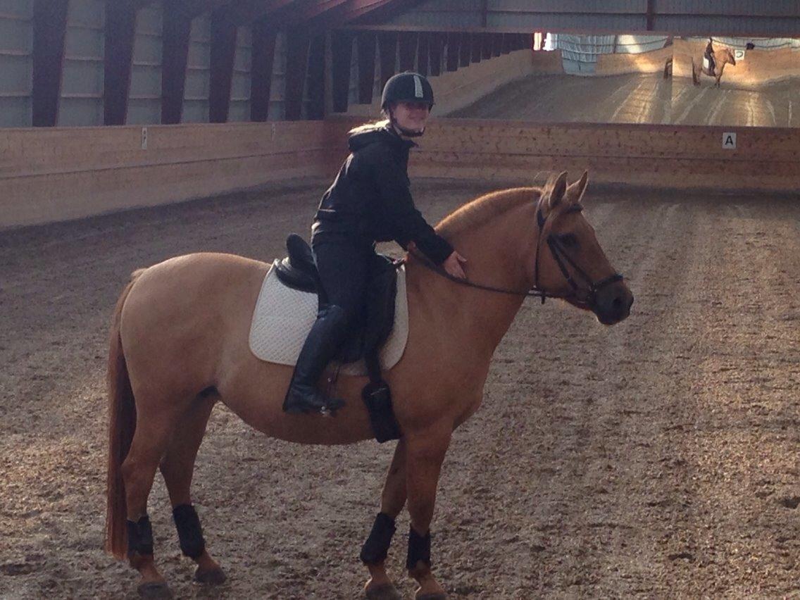 Anden særlig race Zarina billede 6