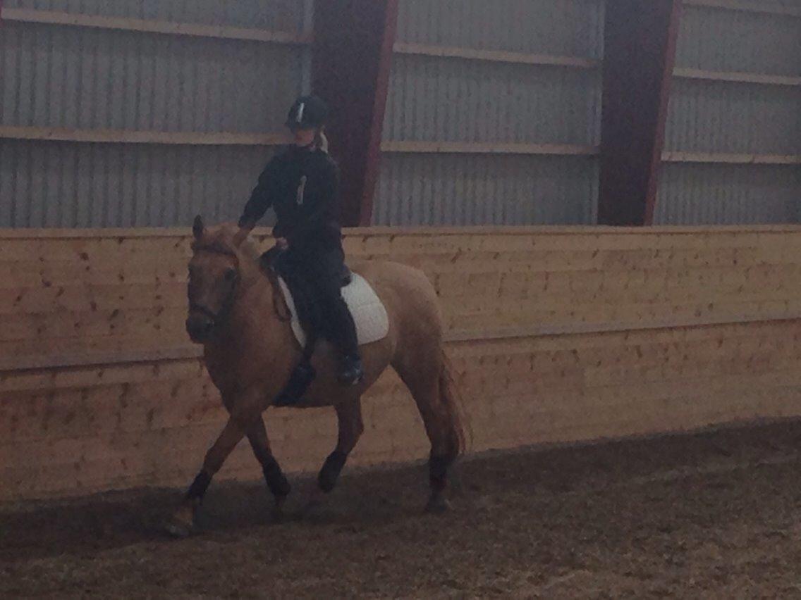 Anden særlig race Zarina billede 7