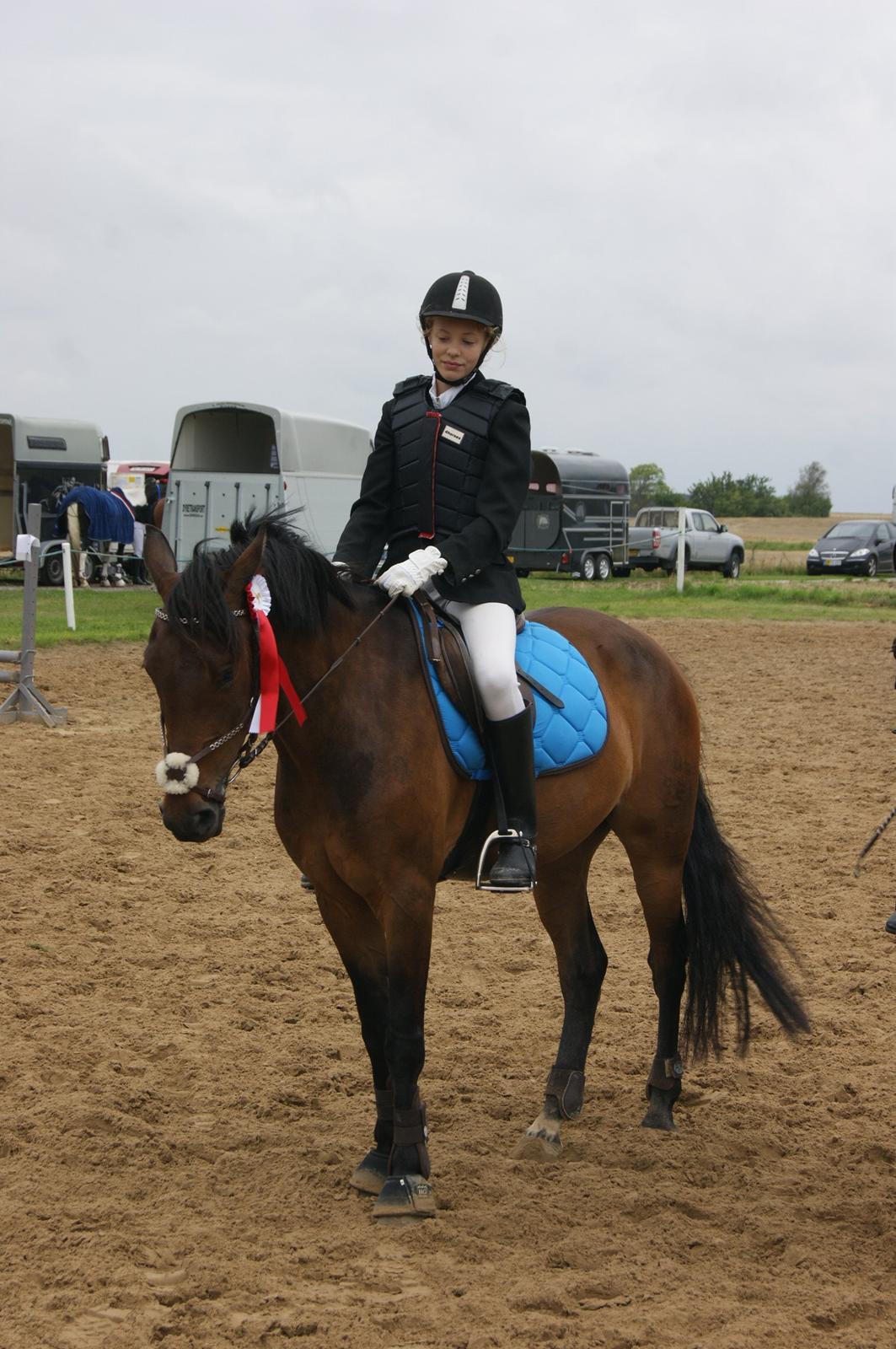 New Forest Farmens Asterix billede 1