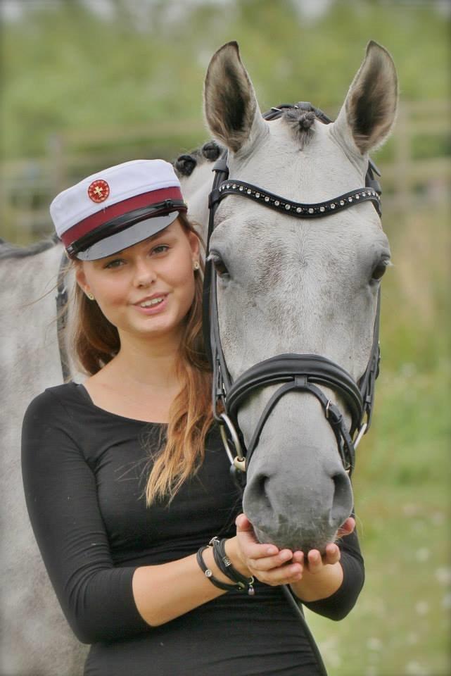 Hannoveraner Diamant - Student 2014! Diamant mangler også sin hue efter at have gået på gymnasiets ridelinje med mig på Broholm ;)  billede 1