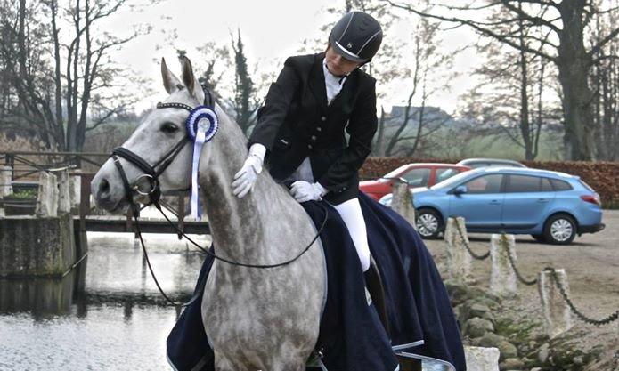 Hannoveraner Diamant - Stævne Broholm  billede 7