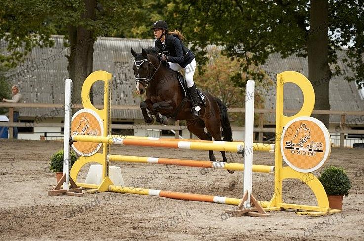 DSP Sebastian B-pony  billede 17