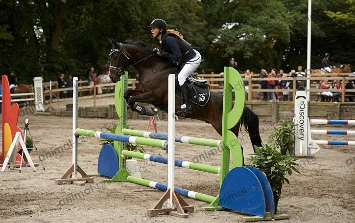 DSP Sebastian B-pony  - her i LB2* 3 plads ud af 40 billede 20