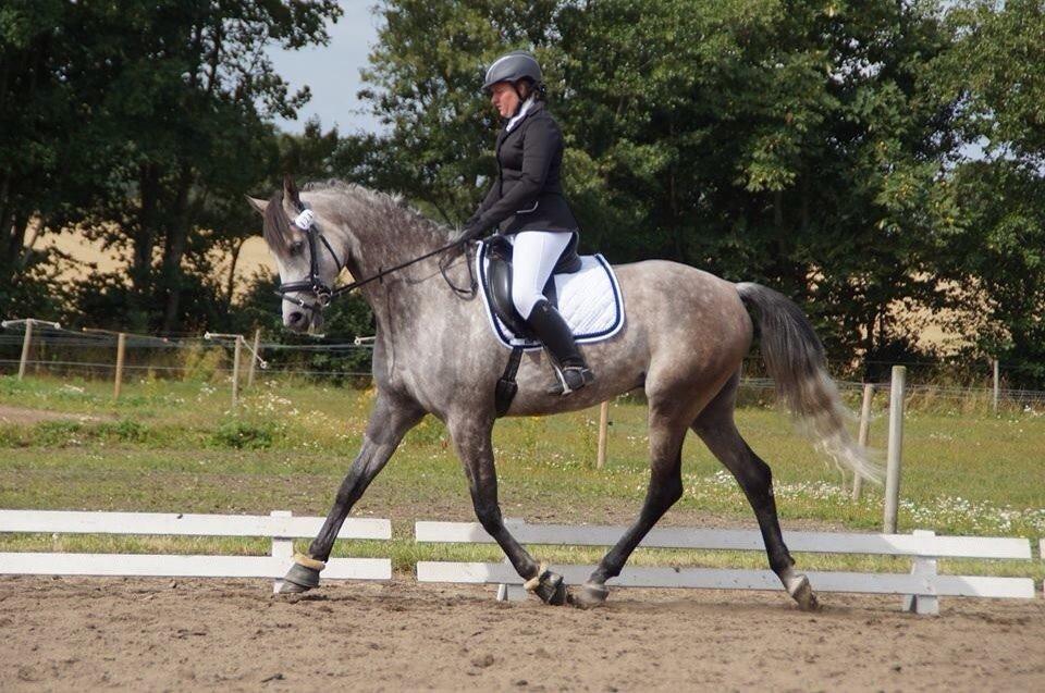 Anden særlig race Simpson billede 2