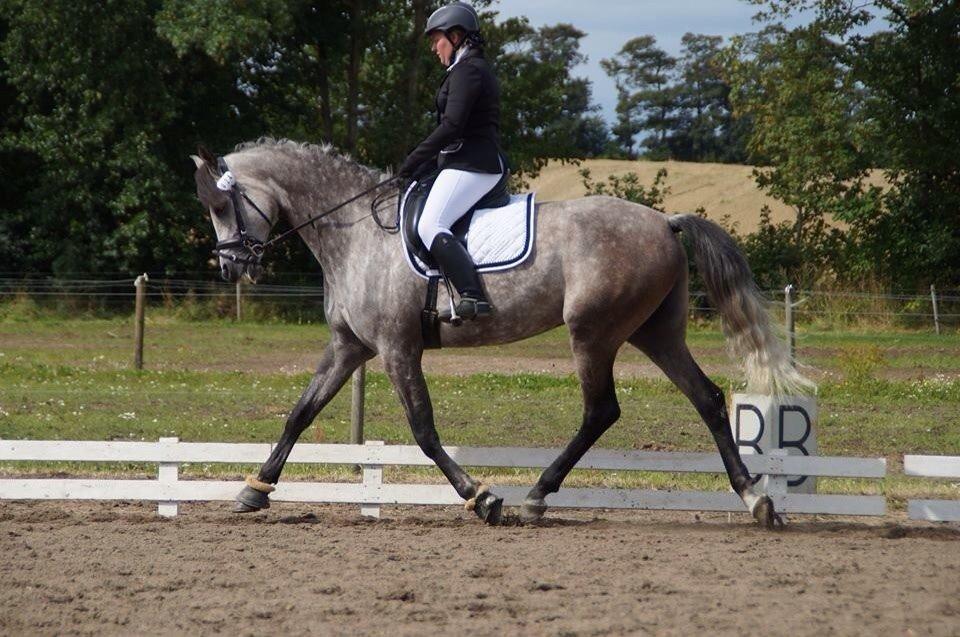 Anden særlig race Simpson billede 1