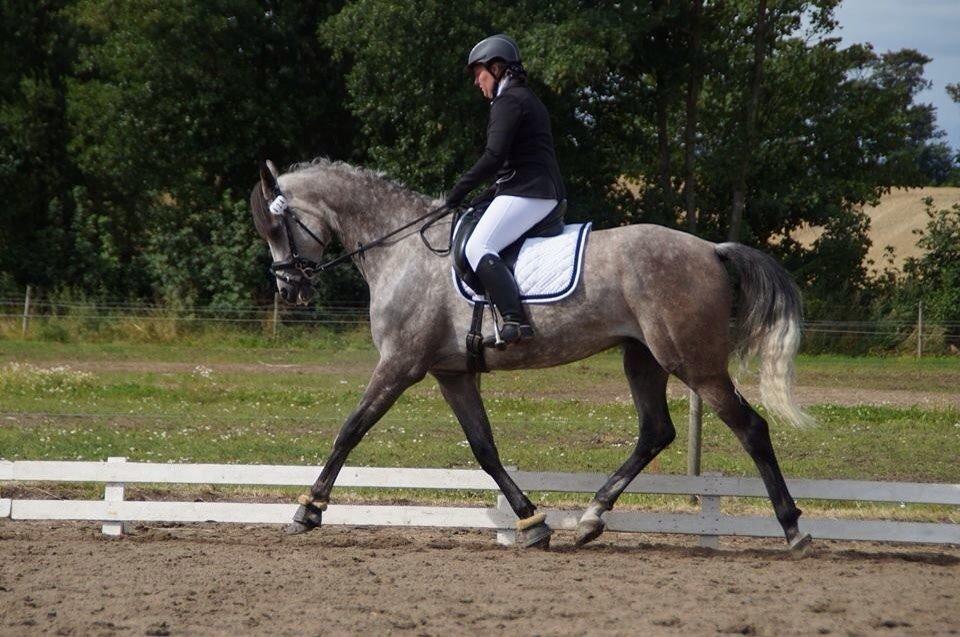 Anden særlig race Simpson billede 15