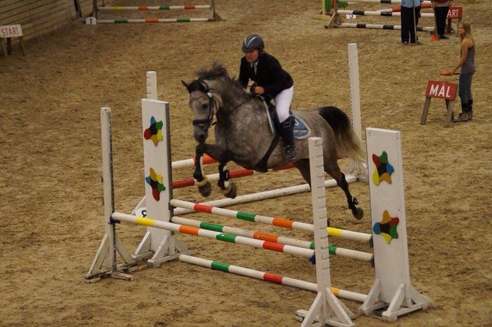 Anden særlig race Simpson billede 20