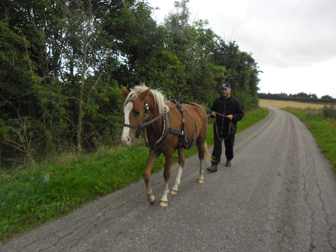 DSP Zippo on fire billede 14