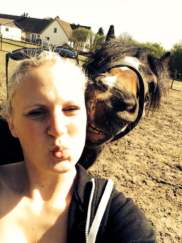 Dartmoor Manze af Vejlebro - Seeeelfie ;) billede 2