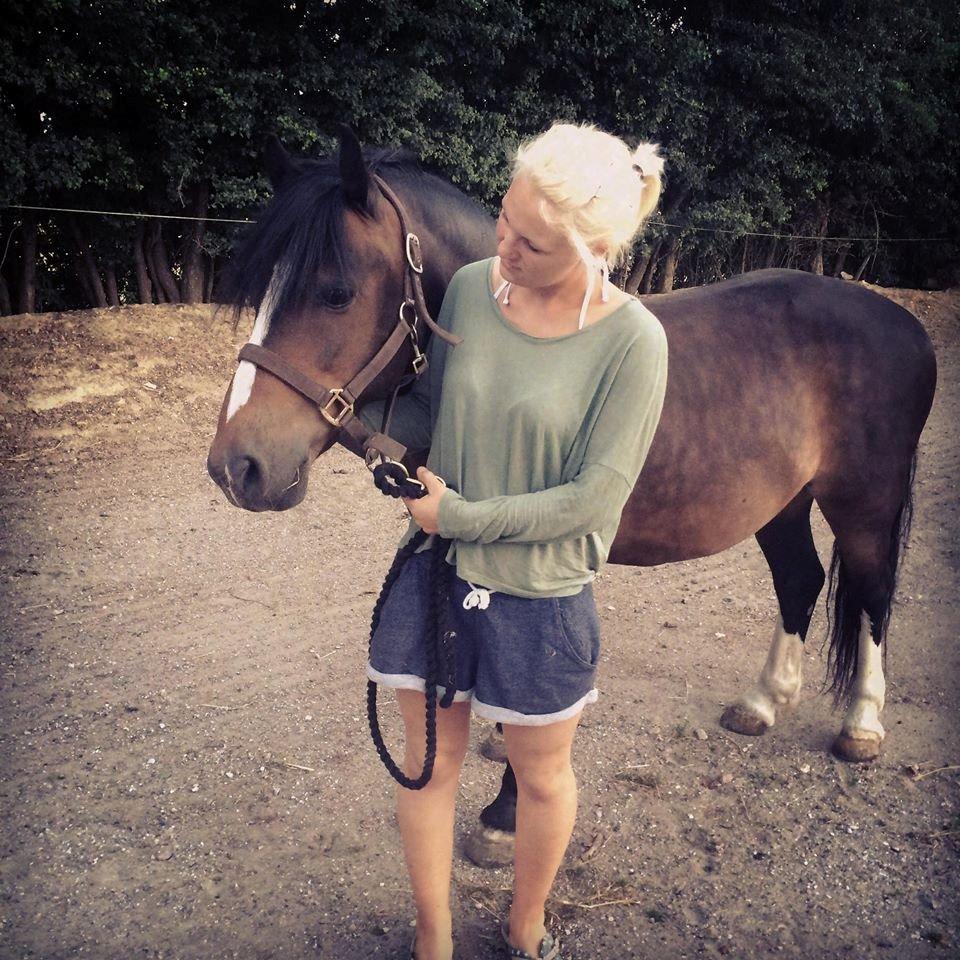 Dartmoor Manze af Vejlebro - Manze <3 billede 3