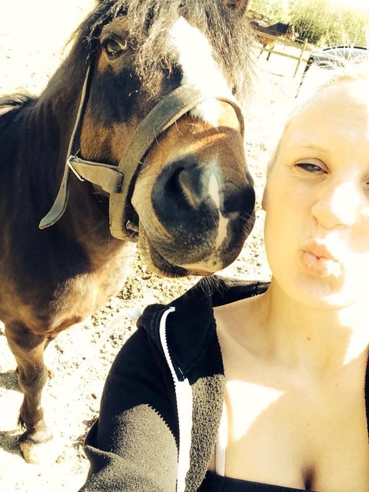 Dartmoor Manze af Vejlebro - Kys til dig min skat! billede 8