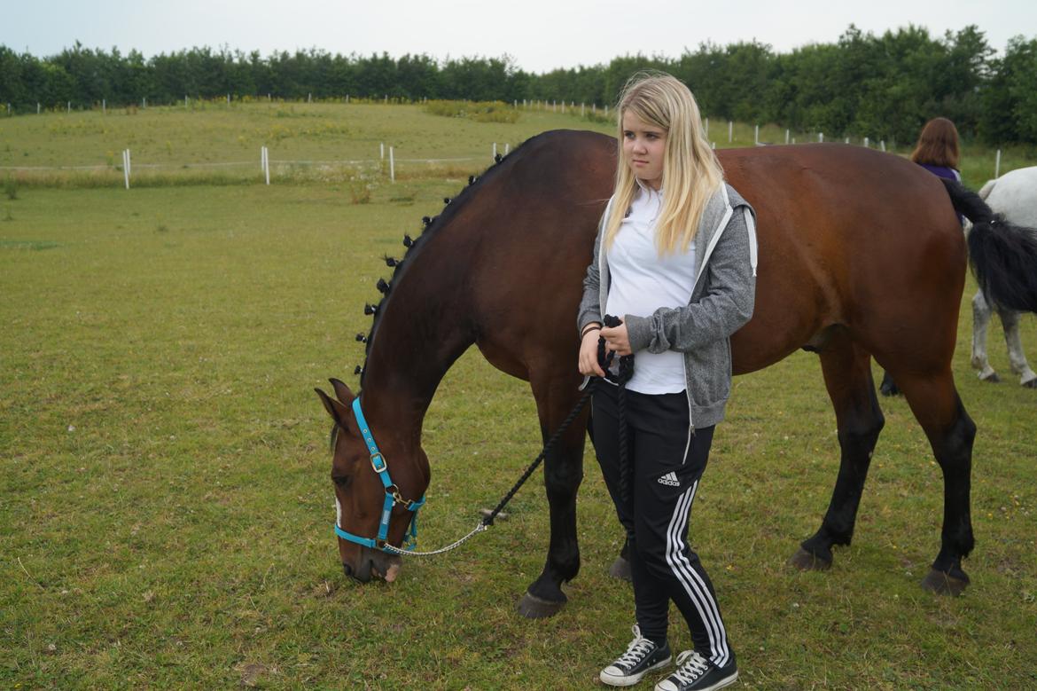 Anden særlig race Bailey billede 6