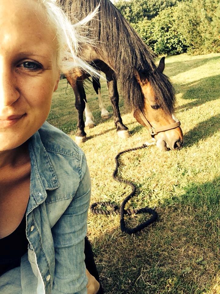 Dartmoor Manze af Vejlebro - Sommer 2014 - min lille pølle <3 billede 12