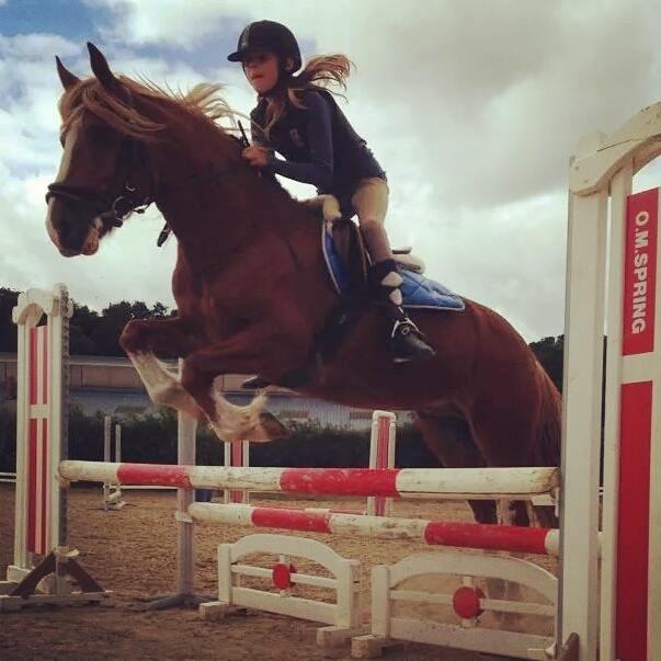 Welsh Cob (sec D) White Feet (White socks)(Sokke) - Spring! o.O  billede 4