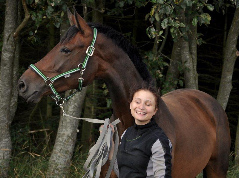 Dansk Varmblod Astoria - 18. august 2014 Foto: Stine Ravn  billede 1