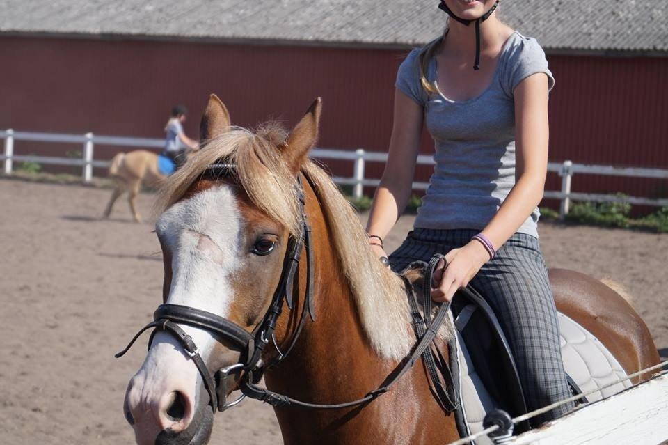 Anden særlig race Lac Lemon Lakriz ( soulmate) billede 13