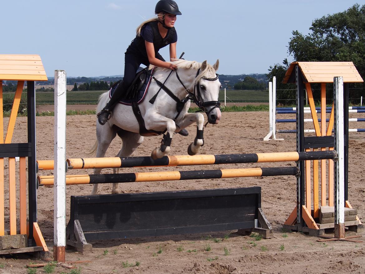Anden særlig race Duchess (Solgt og mega savnet) <3 billede 6