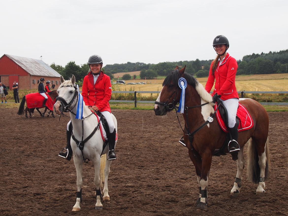 Anden særlig race Duchess (Solgt og mega savnet) <3 - Nr. 2 til distriktmesterskaberne. 1,10 sek fra 1 pladsen, i en omspringning som svarer til MB**. Seje pony! billede 2