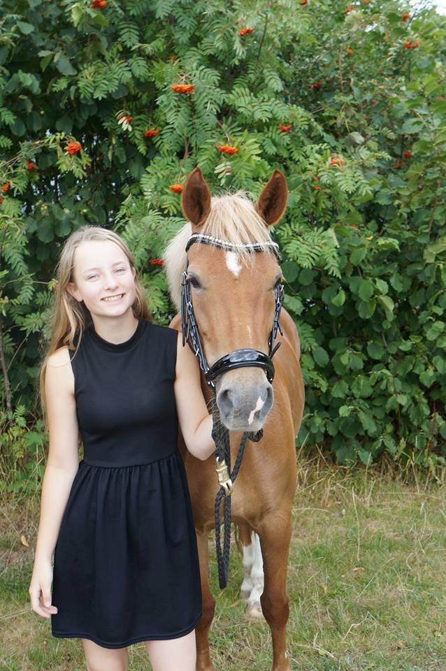 New Forest Kantje´s Isabella AKA Pony - Den bedste igennem alt! billede 7