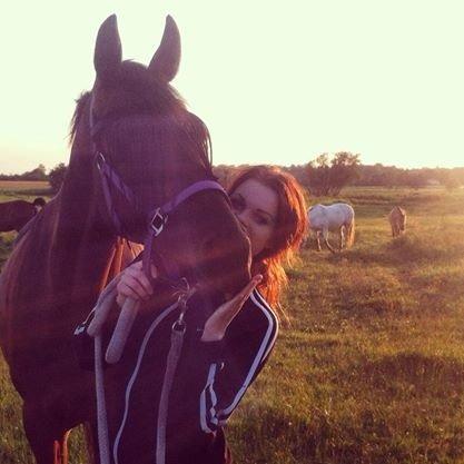 Trakehner | Careful Carola  R.I.P billede 10