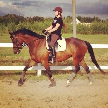 Trakehner | Careful Carola  R.I.P billede 11