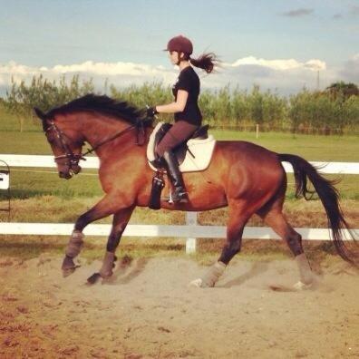 Trakehner | Careful Carola  R.I.P billede 13