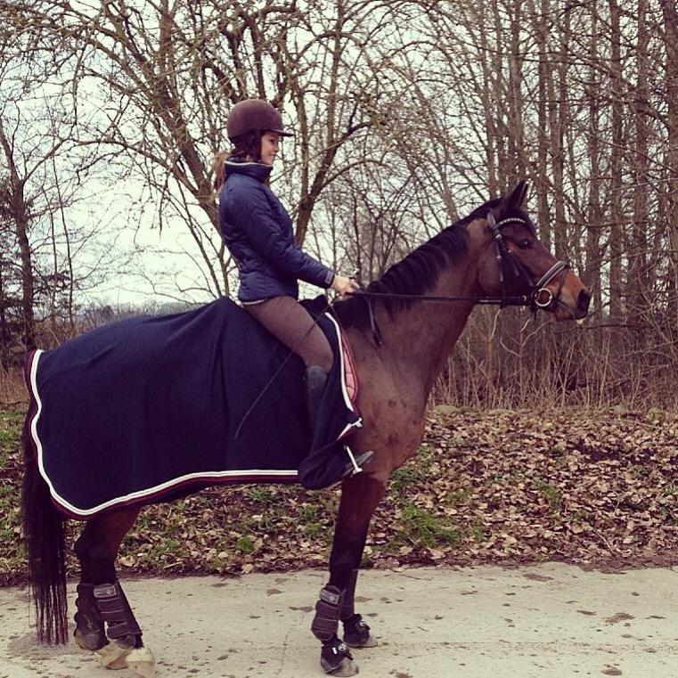 Trakehner | Careful Carola  R.I.P billede 17