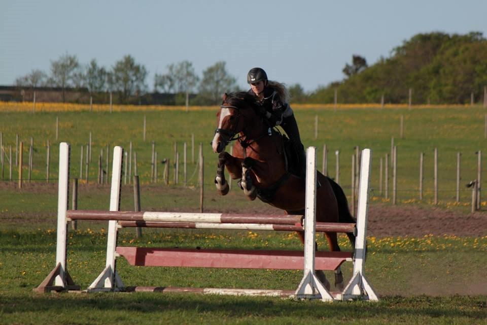 Irsk Sportspony Knockcullen Lass | B-pony | - Spring træning i hjallerup ved Rasmus rise. billede 5