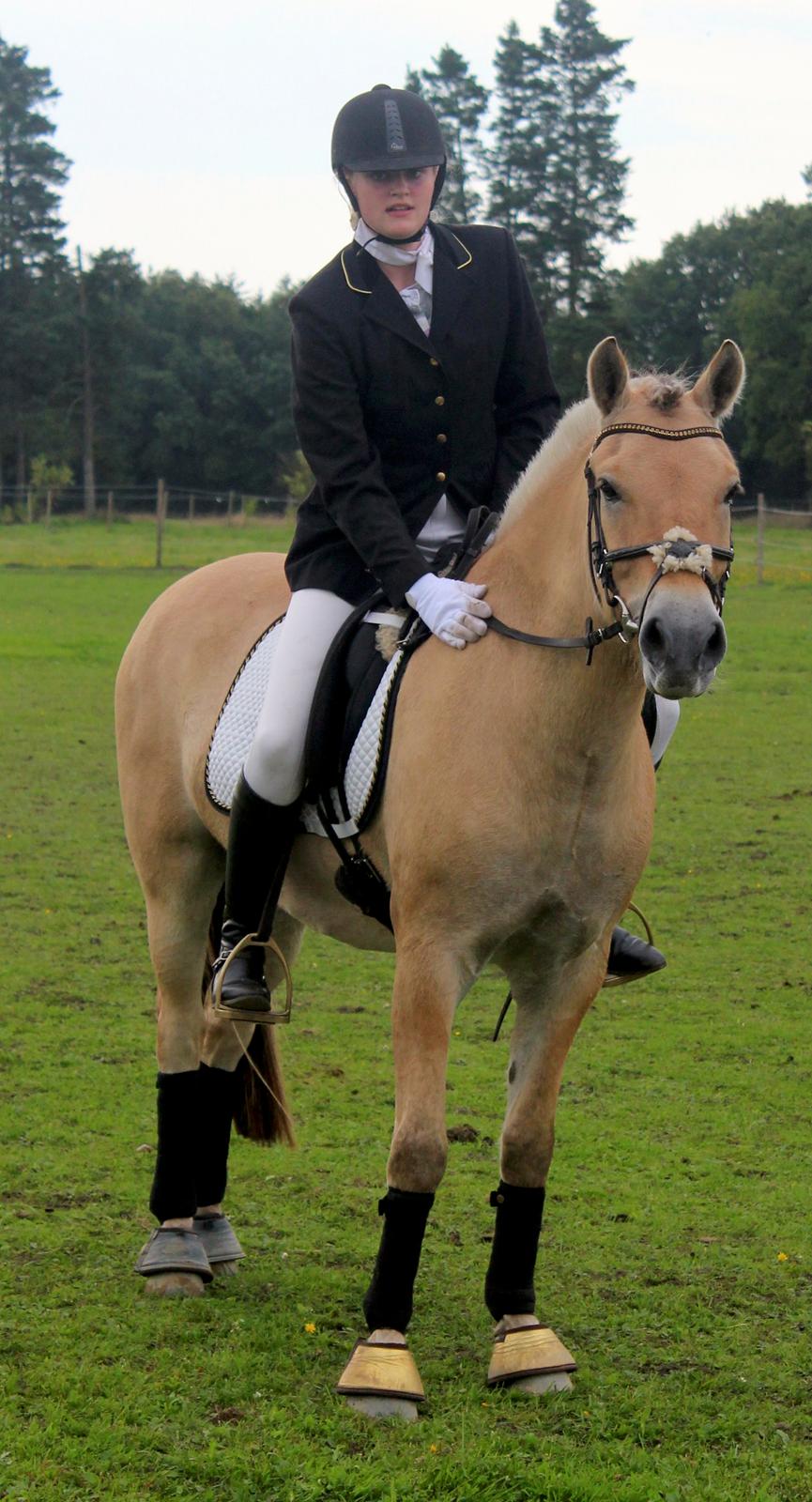 Fjordhest Solhøjgården´s Frej <3 billede 20